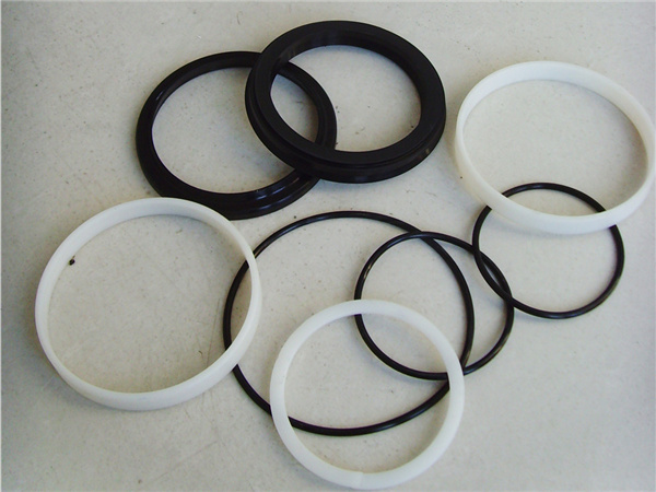 悬浮支柱密封件